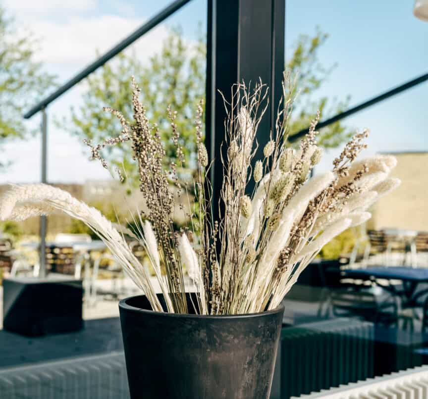 Faciliteter-udsigt-stemning-blomst-01