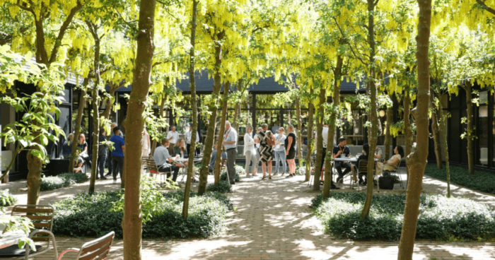 faciliteter-gardhave-guldregn-01-864x806_optimized